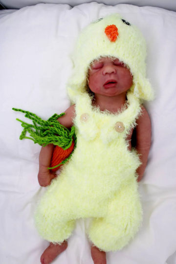 Baby Chick, 2 pc. Newborn Photography Costume