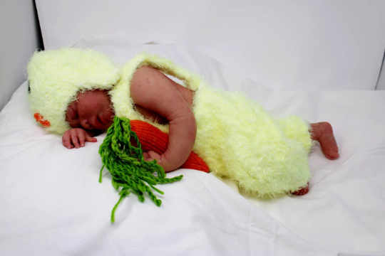 Baby Chick, 2 pc. Newborn Photography Costume