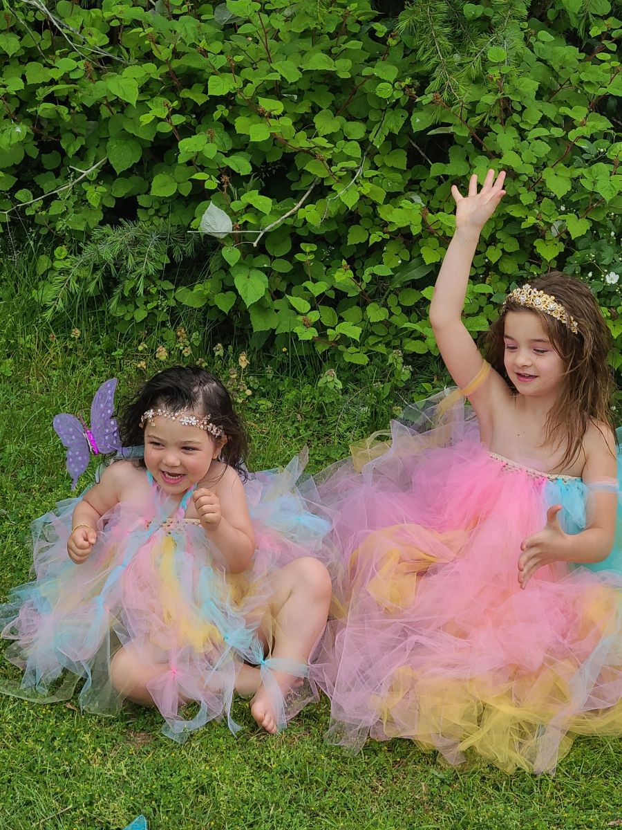 Custom "Kissing Butterflies", Dancing with Fairies Dress