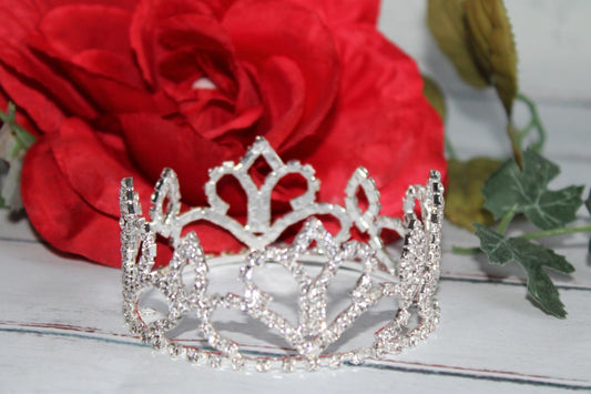 The Lil Miss Princess Crown