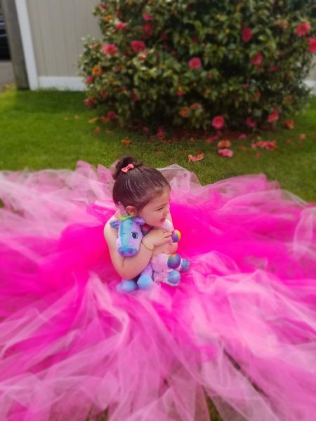 Custom "Dancing with Fairies" Oversized Tulle Dress